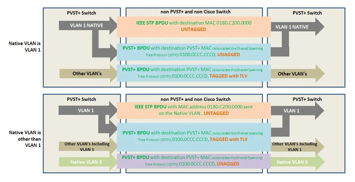 Flow chart explaining the difference in Cisco BPDU processing when native VLAN
ID is 1 and when it is something else