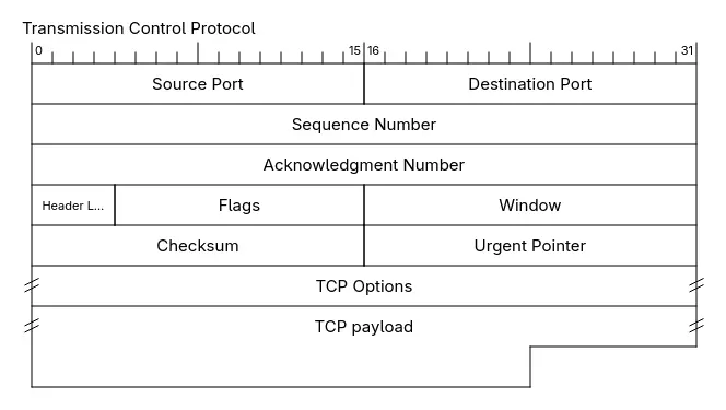 TCP header